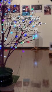 群馬県富岡市妙義町のビジターセンターにて、まさ工房の絹あかり展開始しました。12月4日〜2025年1月30日まで。素敵な絹あかりとイルミネーションが、皆様をお待ち致します。